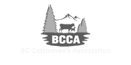 Bcca logo